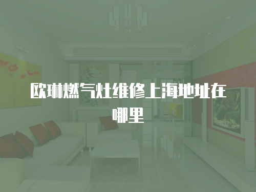 歐琳燃?xì)庠罹S修上海地址在哪里