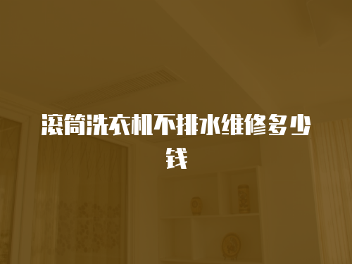 滾筒洗衣機不排水維修多少錢