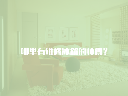 哪里有維修冰箱的師傅？