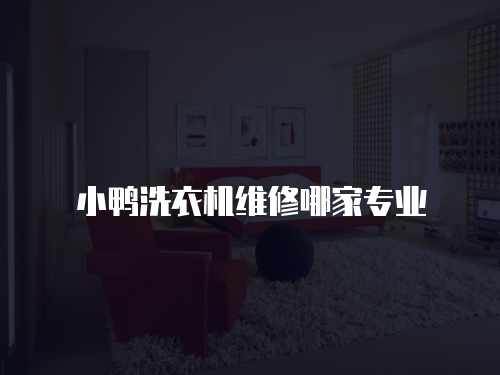 小鴨洗衣機(jī)維修哪家專業(yè)
