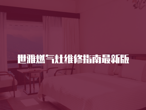 世雅燃?xì)庠罹S修指南最新版