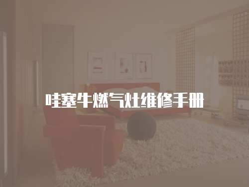 哇塞牛燃?xì)庠罹S修手冊(cè)