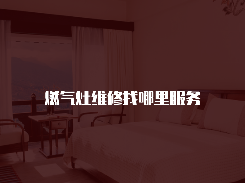 燃?xì)庠罹S修找哪里服務(wù)