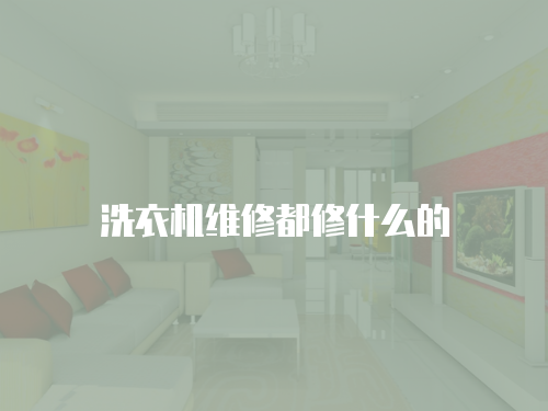 洗衣機(jī)維修都修什么的