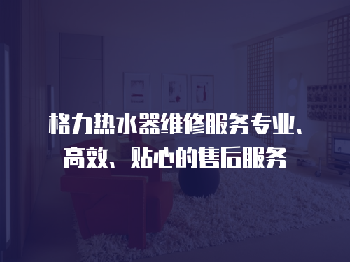 格力熱水器維修服務專業、高效、貼心的售后服務