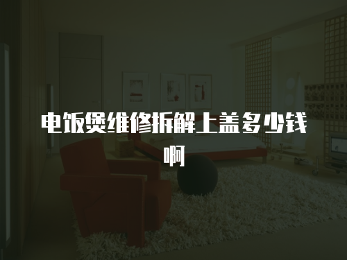 電飯煲維修拆解上蓋多少錢啊