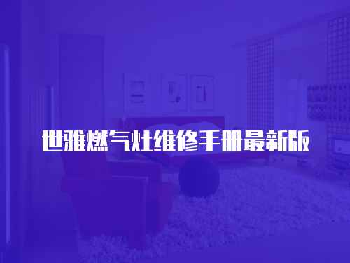 世雅燃?xì)庠罹S修手冊最新版