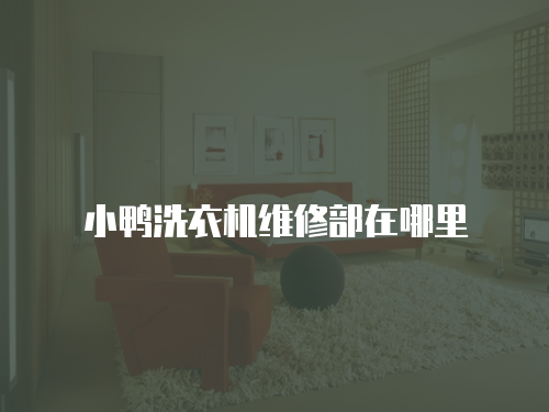 小鴨洗衣機(jī)維修部在哪里
