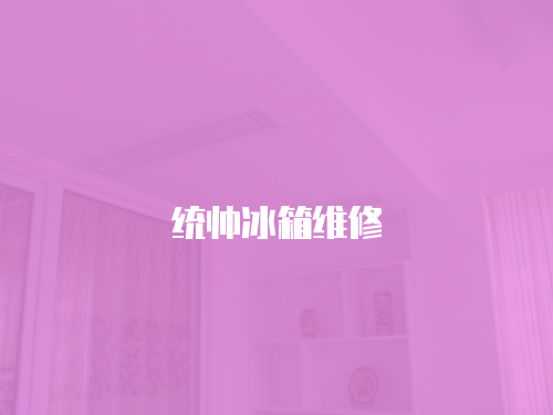 統(tǒng)帥冰箱維修