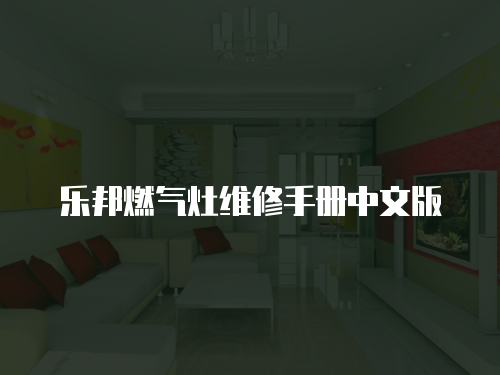 樂邦燃?xì)庠罹S修手冊(cè)中文版