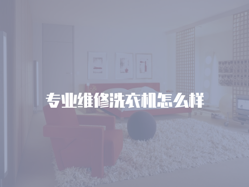專業(yè)維修洗衣機(jī)怎么樣