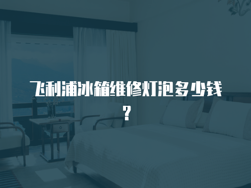 飛利浦冰箱維修燈泡多少錢？