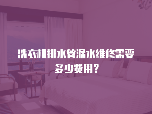 洗衣機排水管漏水維修需要多少費用？