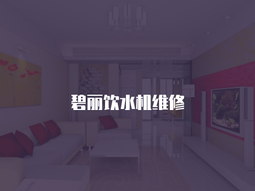 碧麗飲水機維修