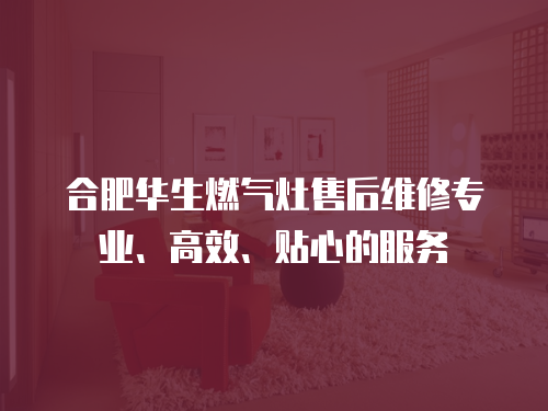 合肥華生燃?xì)庠钍酆缶S修專(zhuān)業(yè)、高效、貼心的服務(wù)