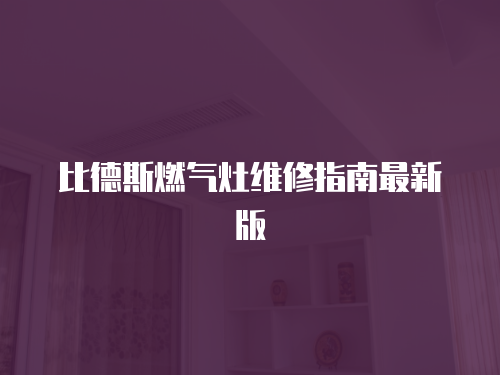 比德斯燃氣灶維修指南最新版