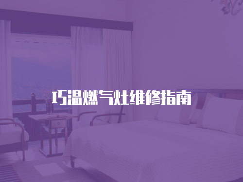 巧溫燃氣灶維修指南