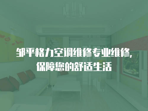 鄒平格力空調(diào)維修專業(yè)維修，保障您的舒適生活