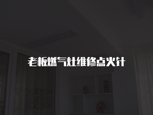 老板燃氣灶維修點火針