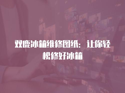 雙鹿冰箱維修圖紙：讓你輕松修好冰箱