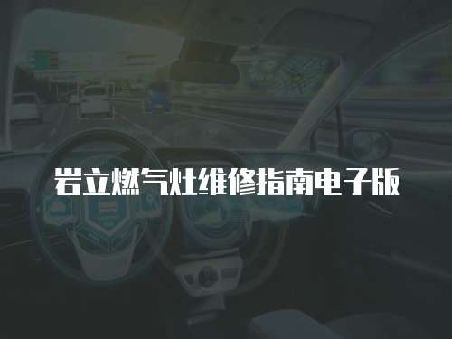 巖立燃氣灶維修指南電子版