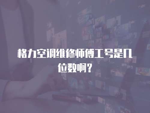 格力空調(diào)維修師傅工號是幾位數(shù)啊？