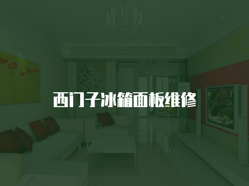 西門子冰箱面板維修