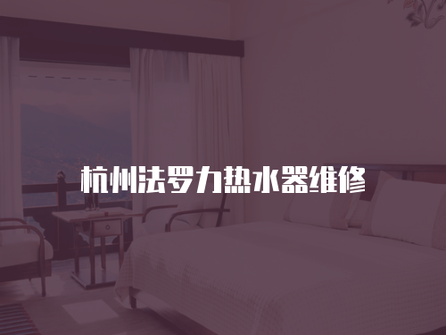 杭州法羅力熱水器維修