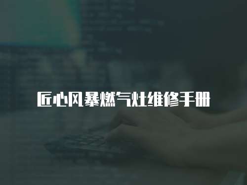 匠心風(fēng)暴燃?xì)庠罹S修手冊