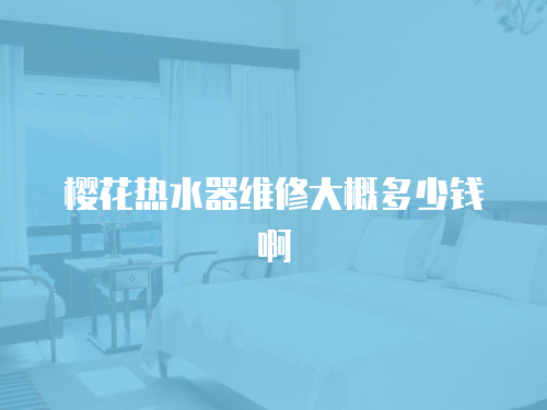 櫻花熱水器維修大概多少錢啊