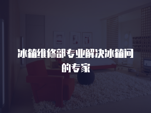 冰箱維修部專業(yè)解決冰箱問的專家