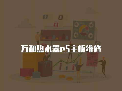 萬和熱水器e5主板維修