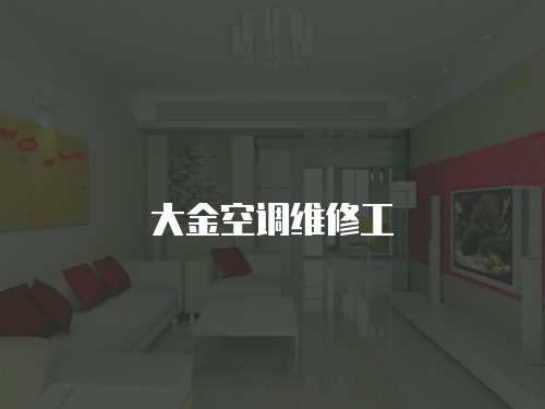 大金空調維修工