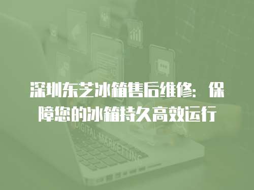 深圳東芝冰箱售后維修：保障您的冰箱持久高效運行