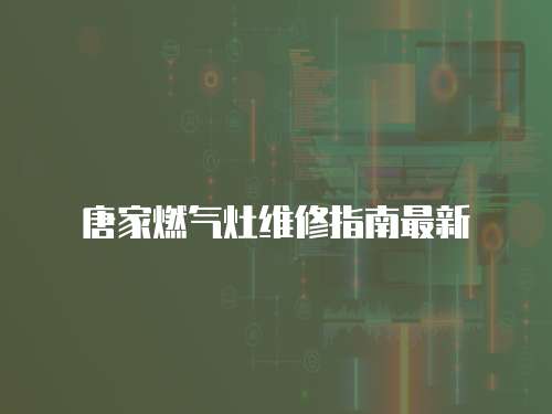唐家燃?xì)庠罹S修指南最新