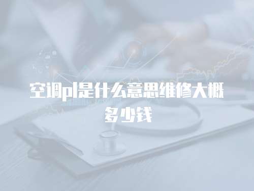 空調(diào)pl是什么意思維修大概多少錢