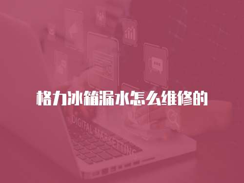 格力冰箱漏水怎么維修的