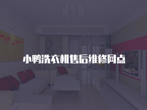 小鴨洗衣機(jī)售后維修網(wǎng)點(diǎn)