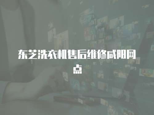 東芝洗衣機售后維修咸陽網點