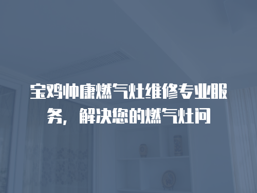 寶雞帥康燃?xì)庠罹S修專業(yè)服務(wù)，解決您的燃?xì)庠顔? class=