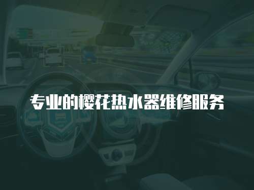 專業(yè)的櫻花熱水器維修服務