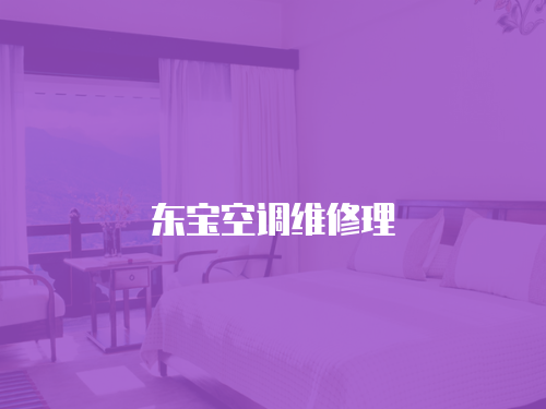 東寶空調(diào)維修理