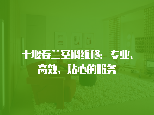 十堰春蘭空調維修：專業、高效、貼心的服務