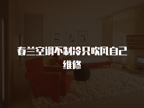 春蘭空調不制冷只吹風自己維修