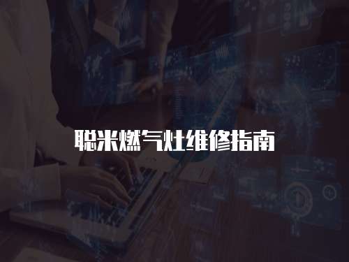 聰米燃?xì)庠罹S修指南