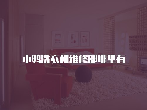 小鴨洗衣機維修部哪里有