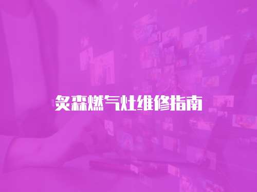 炙森燃氣灶維修指南