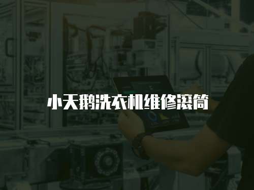 小天鵝洗衣機維修滾筒