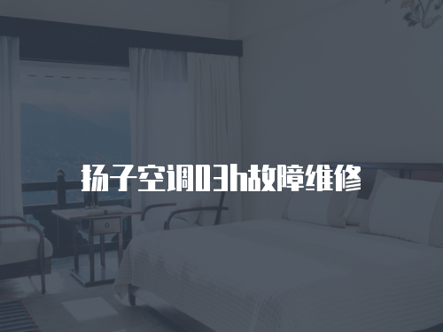 揚子空調(diào)03h故障維修