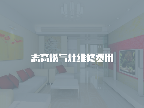 志高燃?xì)庠罹S修費(fèi)用